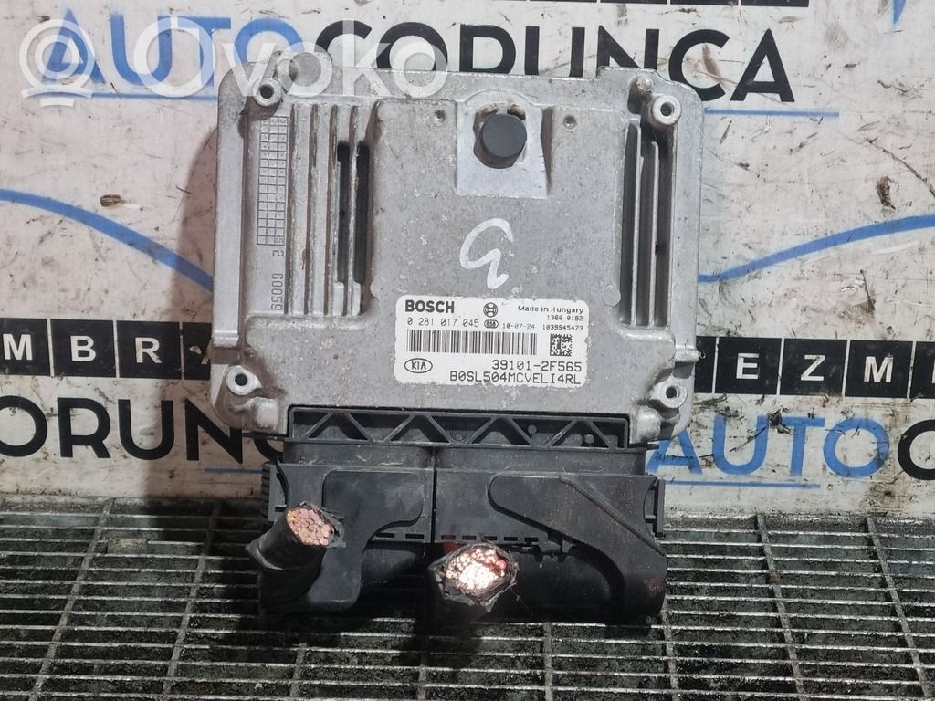 KIA Sportage Engine control unit/module ECU 