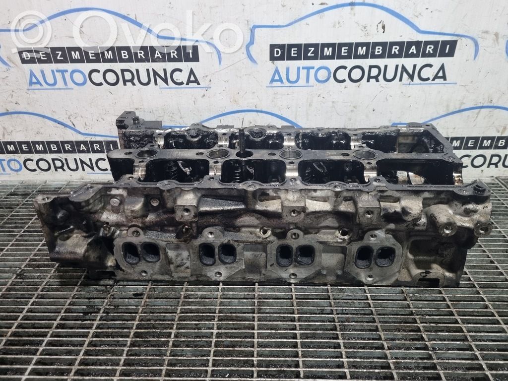 Engine head   8200519994