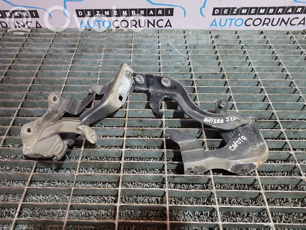 Engine bonnet/hood hinges
