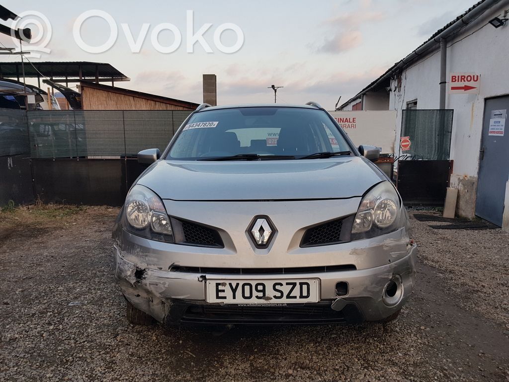 Renault Koleos I Front door speaker 