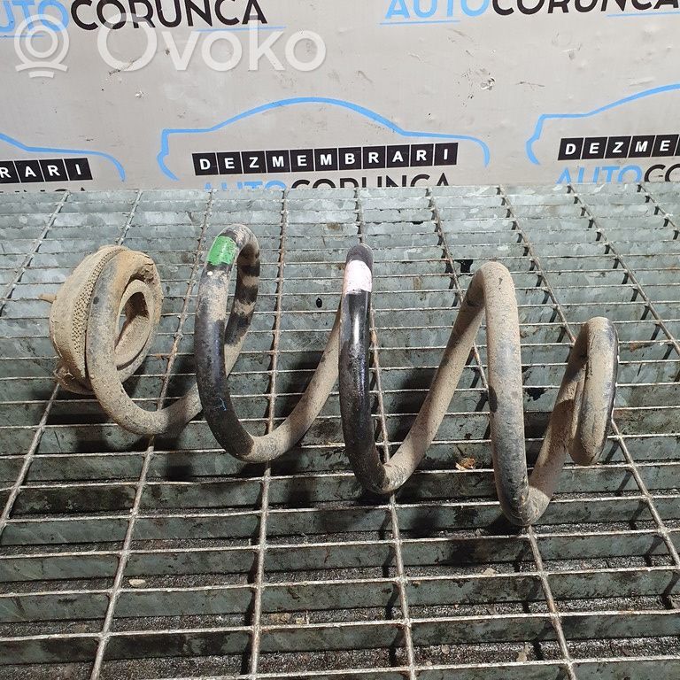 Rear coil spring