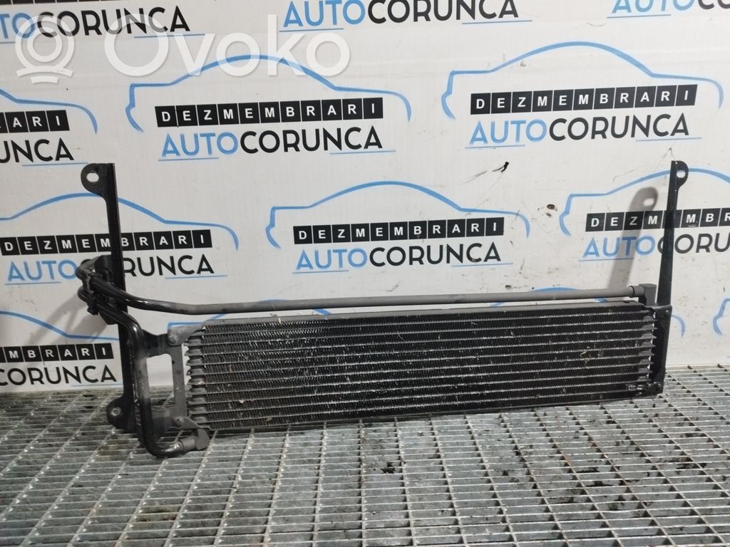 Volkswagen Tiguan Interkūlerio radiatorius 