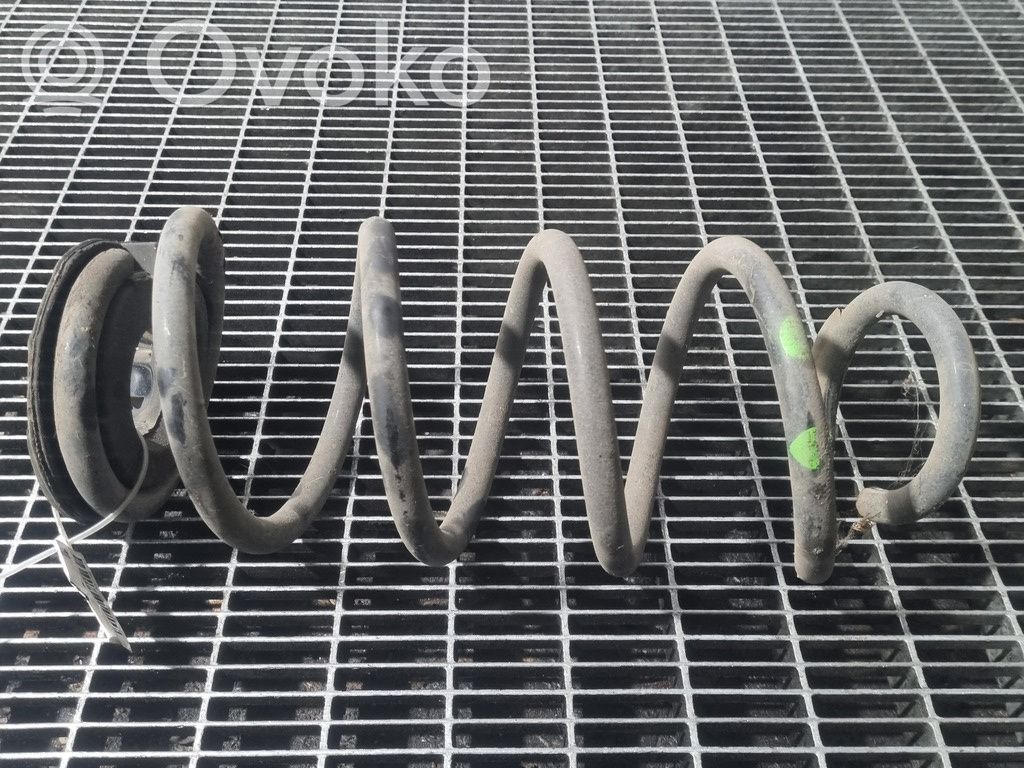 Rear coil spring