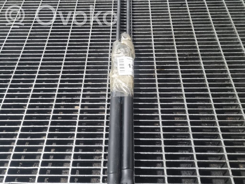 Skoda Yeti (5L) Amortizor hayon 