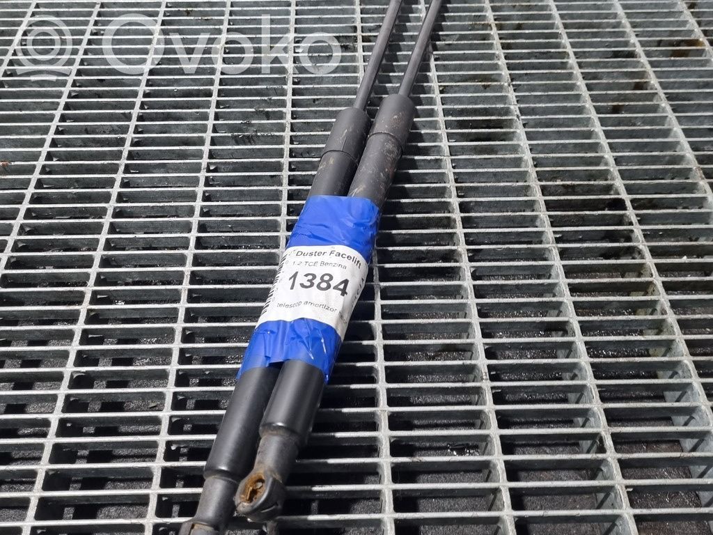 Tailgate/trunk strut/damper