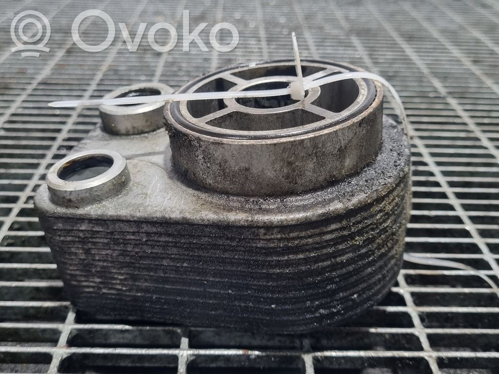 Nissan Juke I F15 Engine oil radiator 