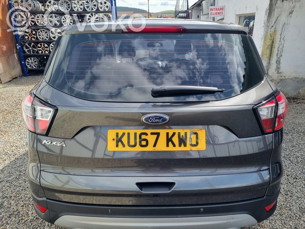 Tailgate/trunk/boot lid