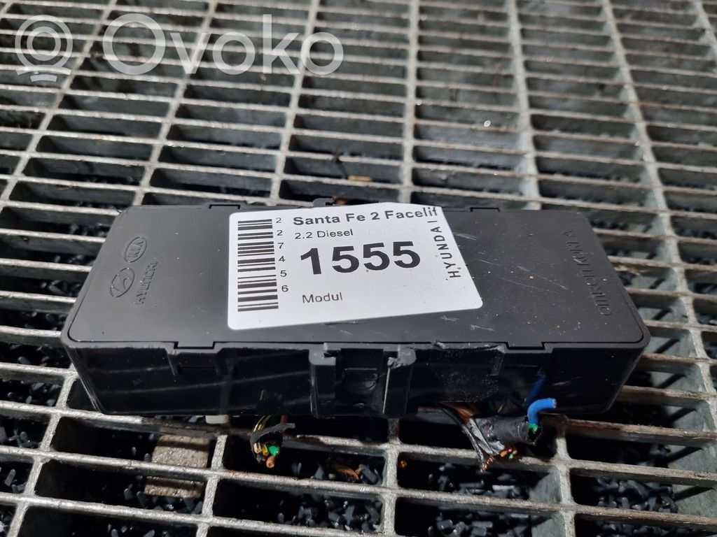 Hyundai Santa Fe Alte unități/module de control 