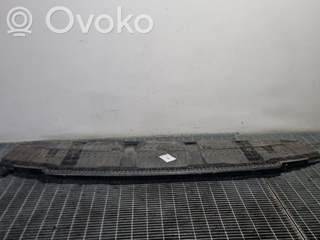 Borde del parachoques delantero   8U0807233C