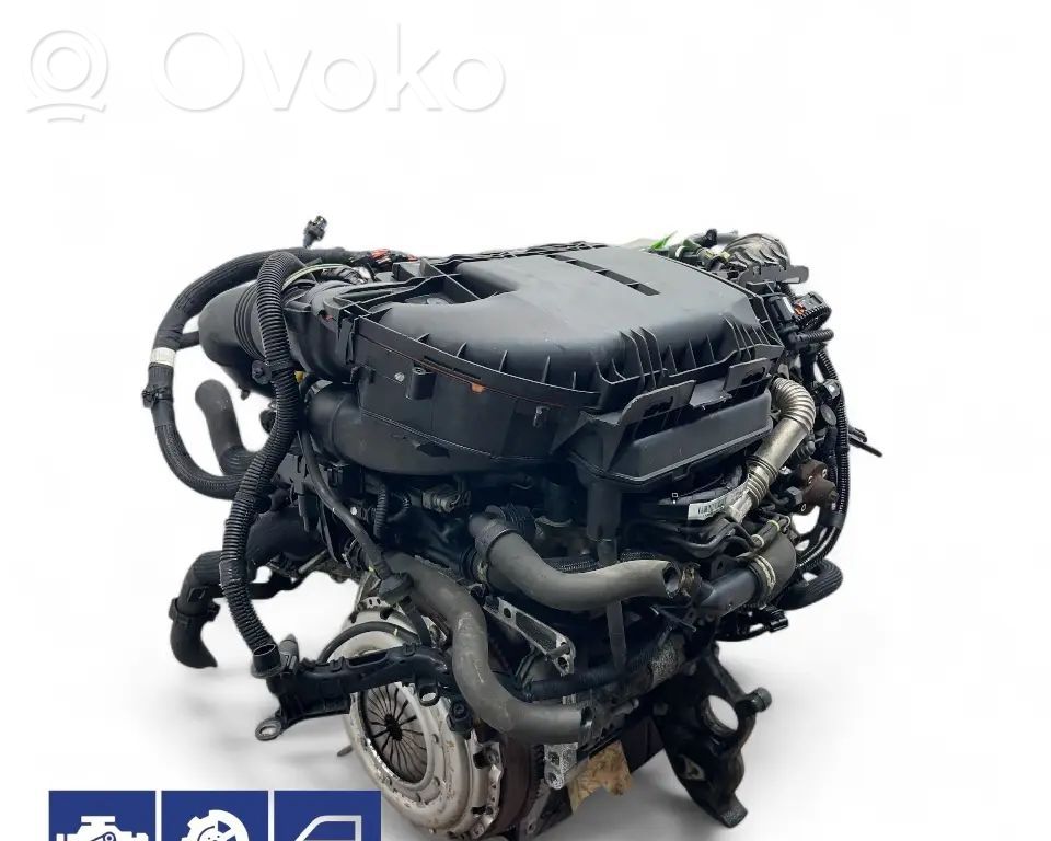 Motor   DV6DTED,9HF,0135SW,0139XC