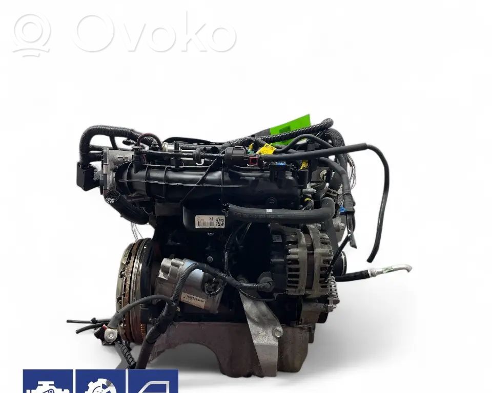 Engine   D14NET,55589138,55594225,55565295