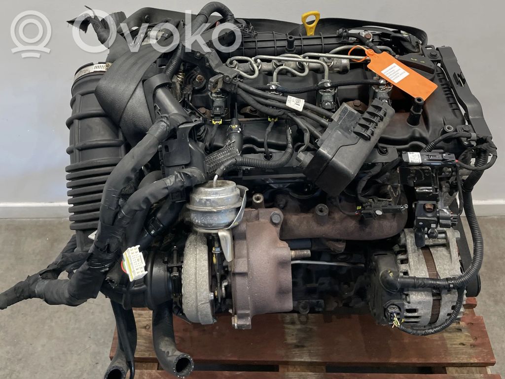 KIA Sportage Motor 