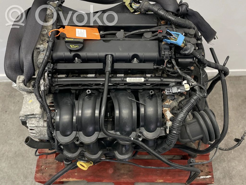 Ford Focus Motor 