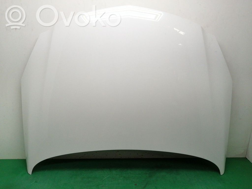 Motorhaube   OBSERVARFOTOS