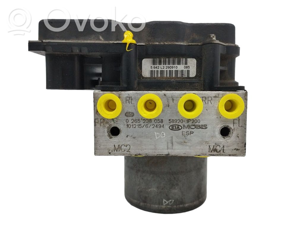 ABS Pump   589201P200,0265238058