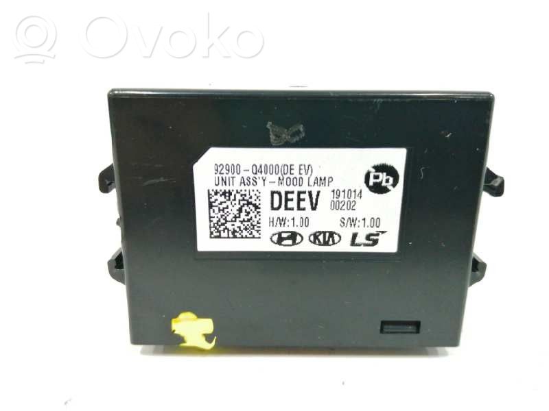 KIA Niro Other control units/modules 