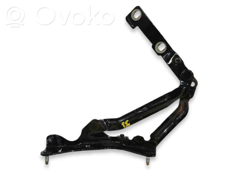 Tesla Model S Tailgate/trunk/boot hinge 