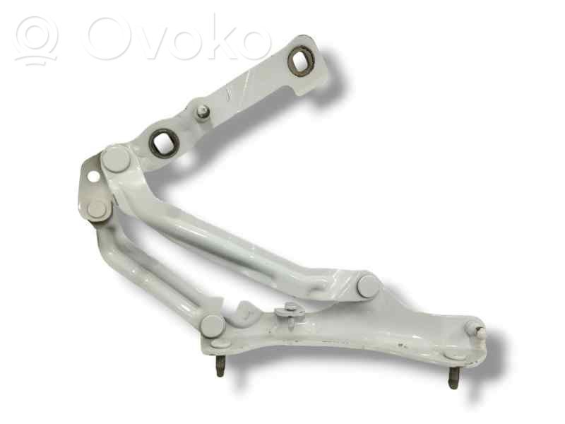 Tesla Model S Tailgate/trunk/boot hinge 