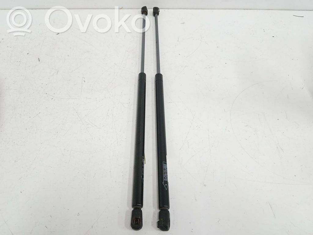 Ford S-MAX Tailgate/trunk strut/damper 
