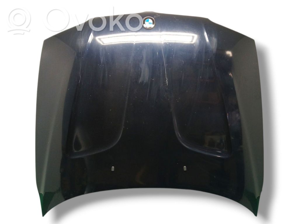 Dzinēja pārsegs (vāks)   41003449411