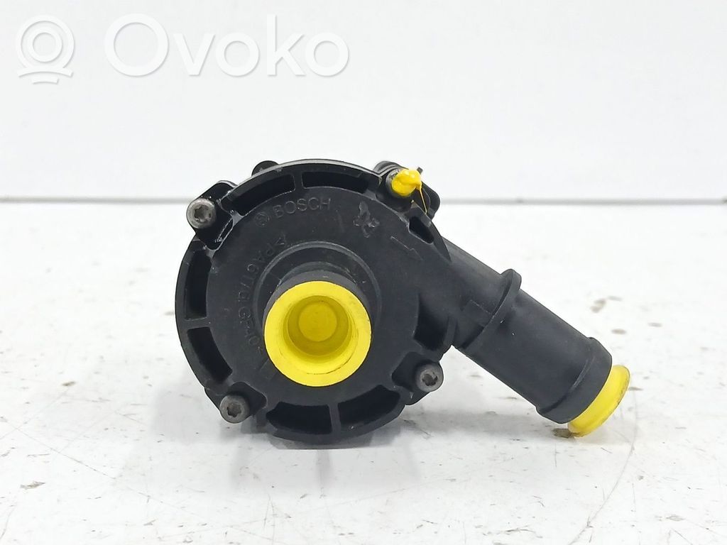 Pompa dell’acqua   925164GA0A,0392023219