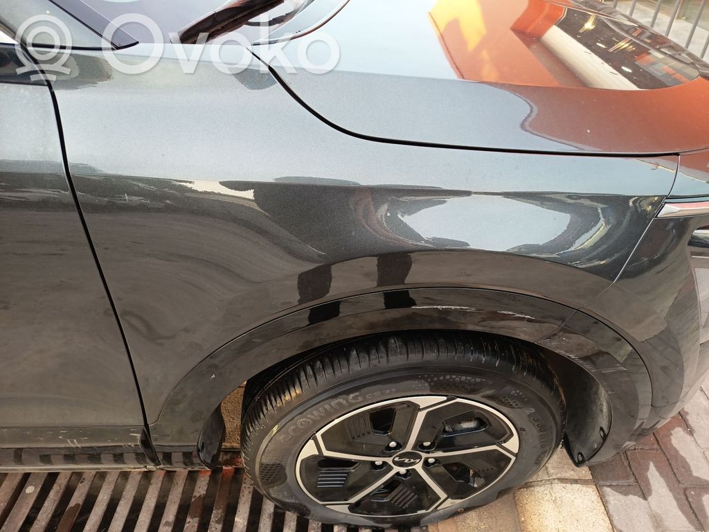 KIA Niro Guardabarro 