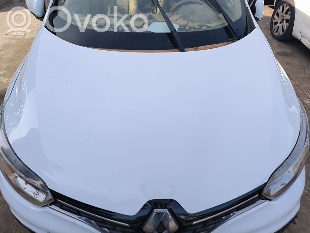 Motorhaube   651004019R