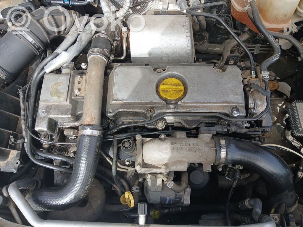 Engine   Y20DTH