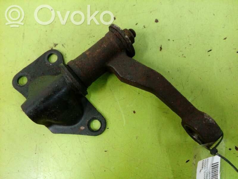 Nissan Terrano Vairo rato ašis 
