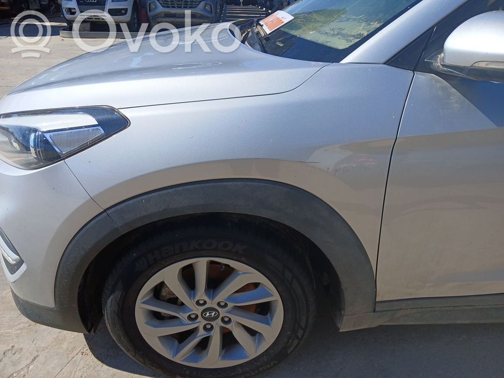 Guardabarro   66311D3000