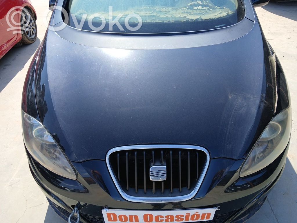 Seat Altea Vano motore/cofano