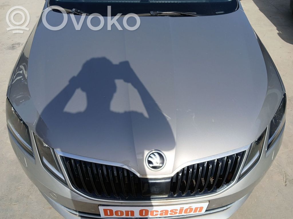 Capotă motor   5E0823031B