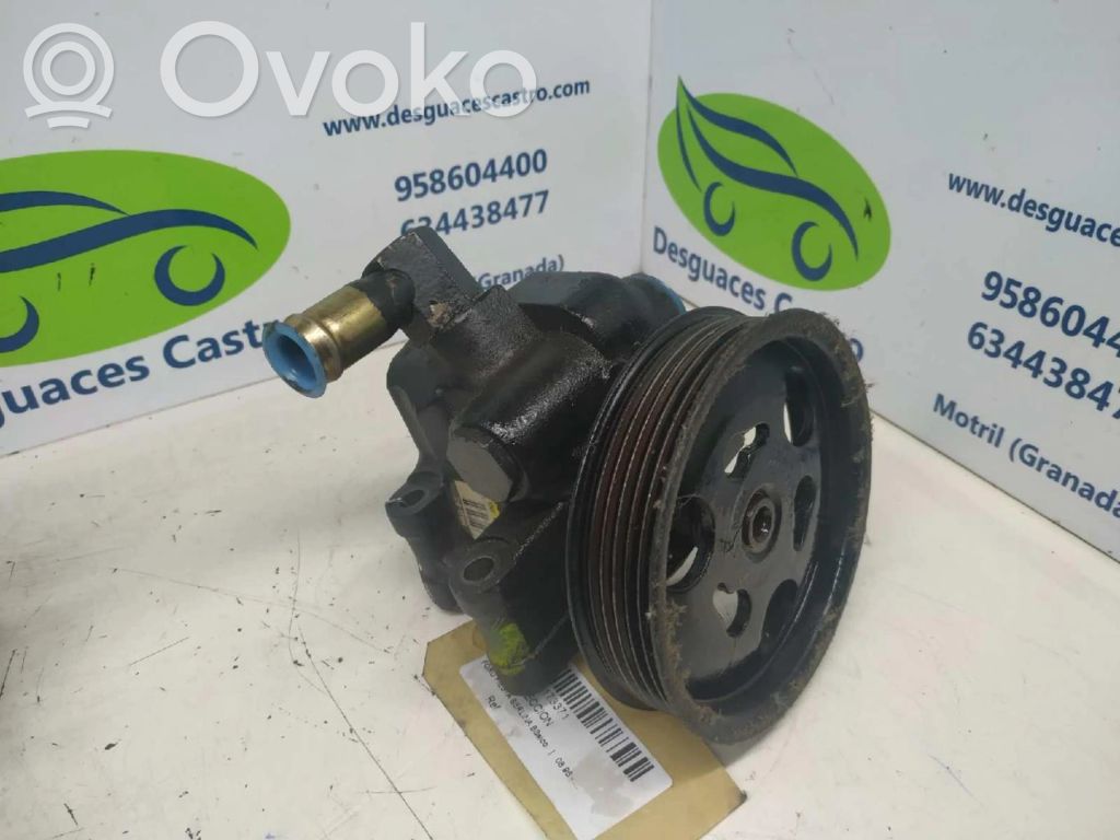 Ford Fiesta Pompă servodirecție 