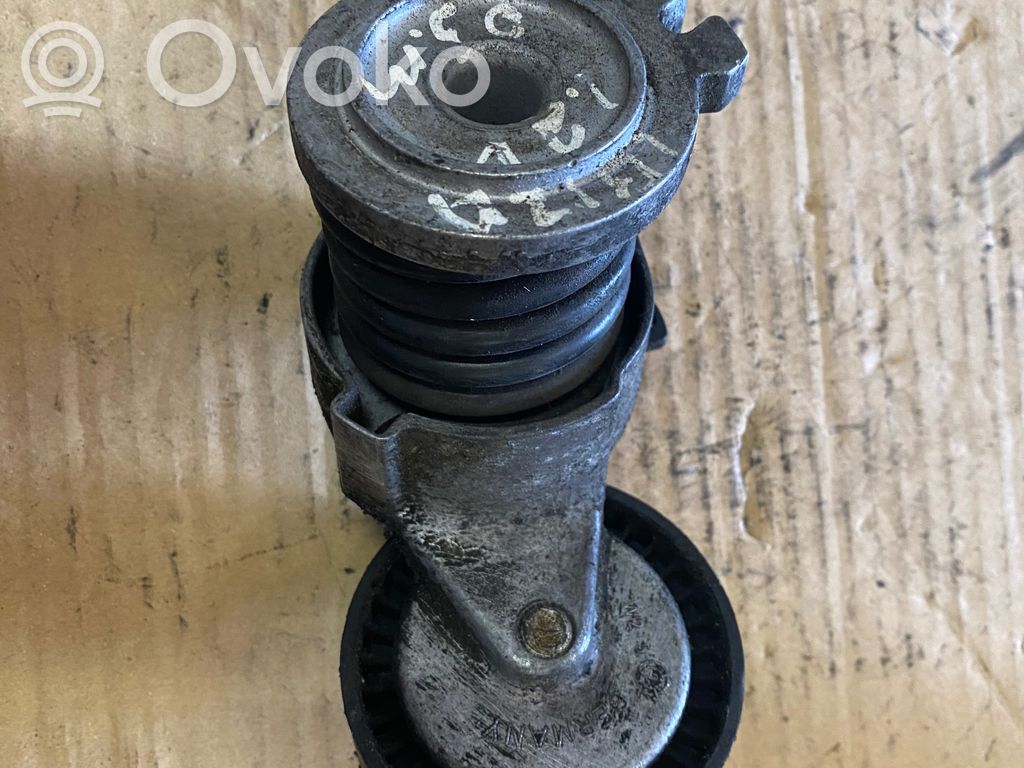 Volkswagen Polo Napinacz paska alternatora 