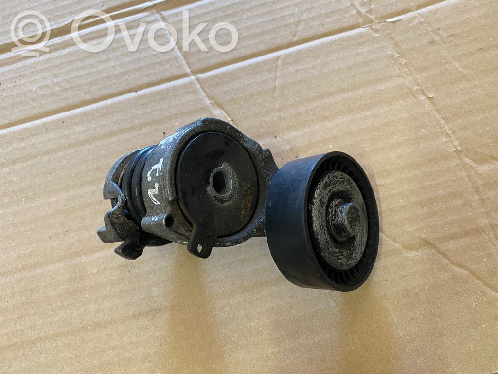 Volkswagen Polo Napinacz paska alternatora 