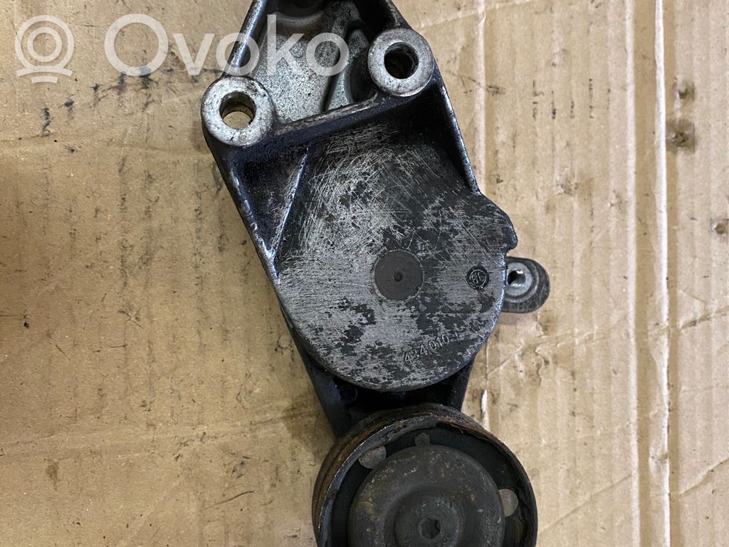 Skoda Octavia Mk2 (1Z) Napinacz paska alternatora 