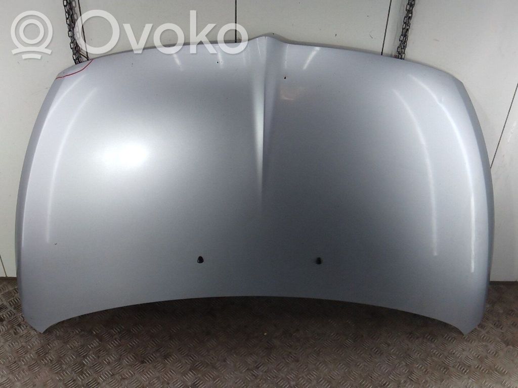 Mitsubishi Grandis Konepelti 