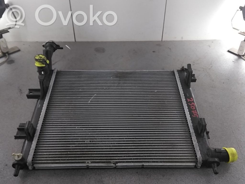 Coolant radiator   253101Y000