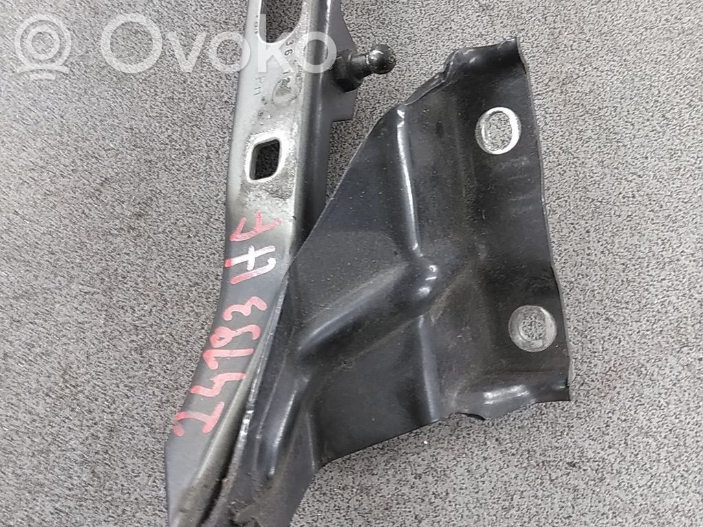 Audi Q5 SQ5 8R Vyris (-iai) variklio dangčio 