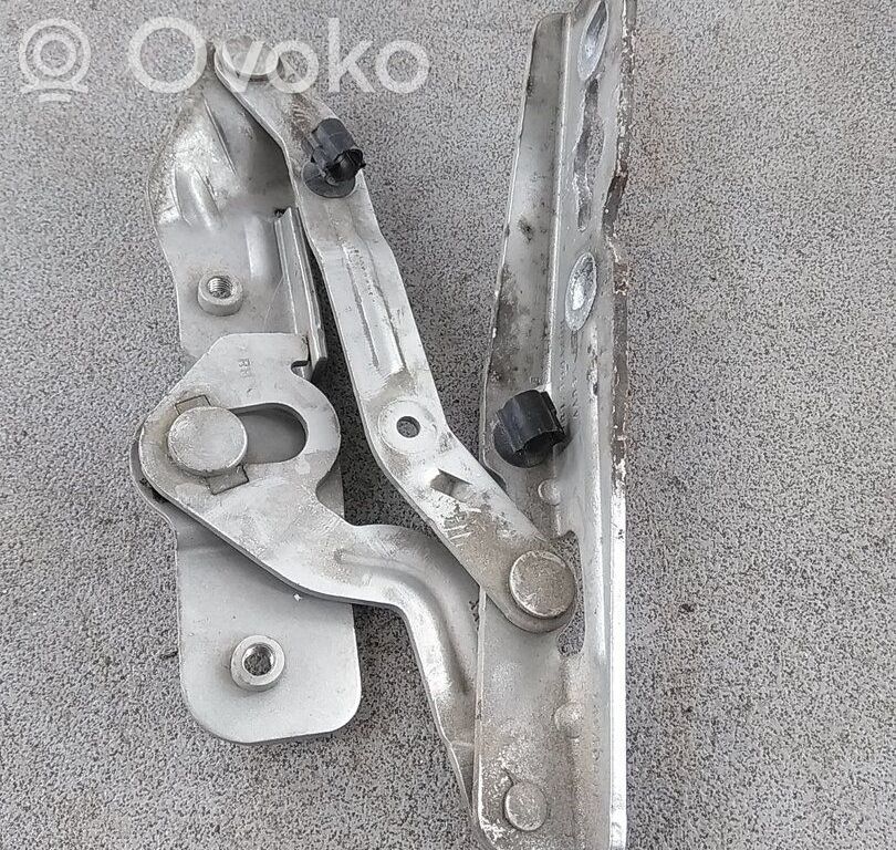 Ford Grand C-MAX Vyris (-iai) variklio dangčio 