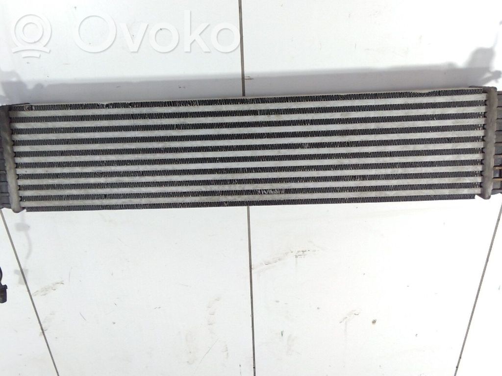 Intercooler radiator   SH0113565C