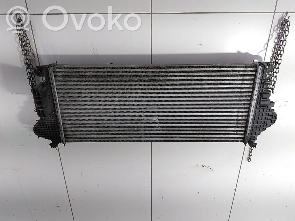 Intercooler radiator   84208091