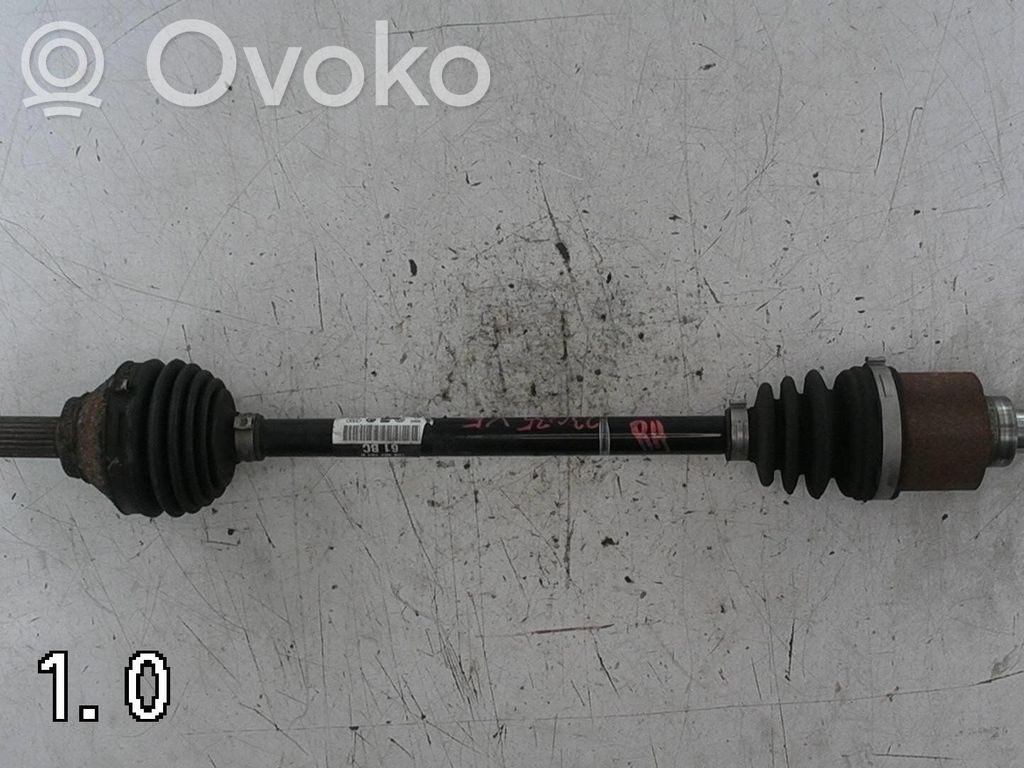 Priekinis pusašis   1S0407761H