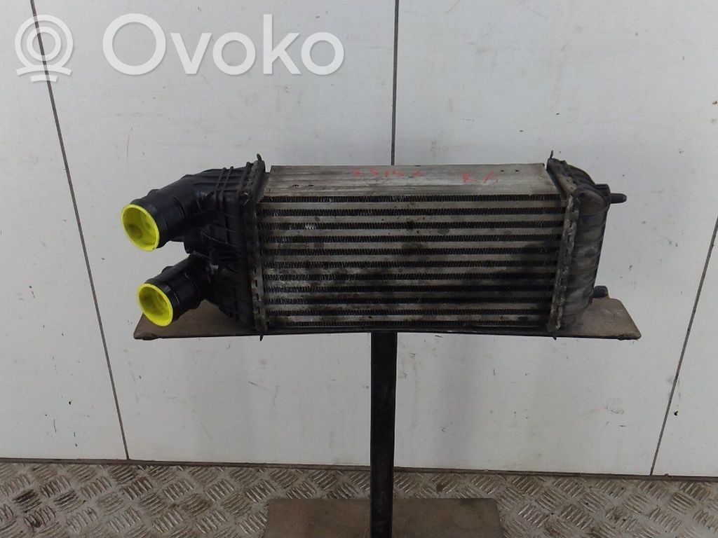 Radiador intercooler   9803900780