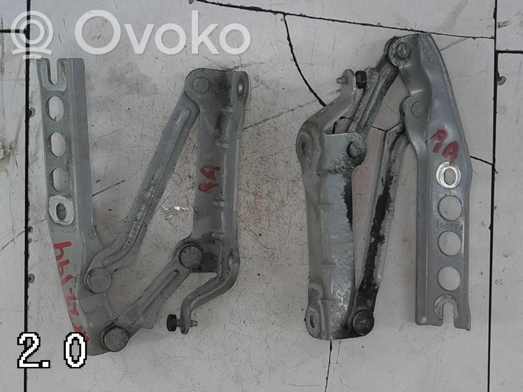 Skoda Roomster (5J) Balamale capotă 