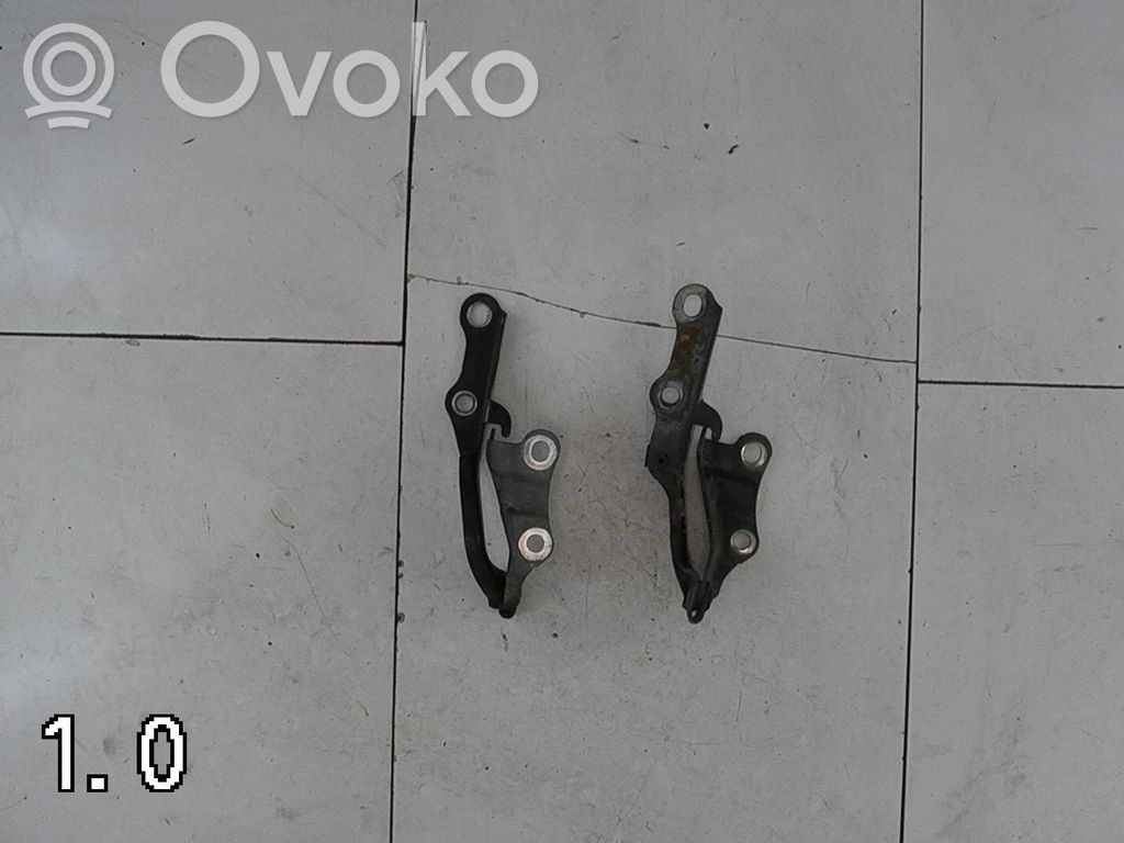 Toyota RAV 4 (XA20) Bisagras del capó/tapa del motor 