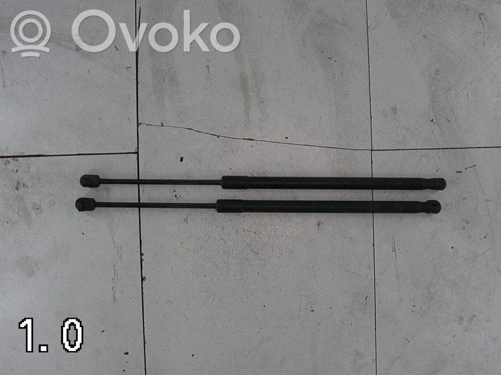 Vérin de capot arrière   D65163620A,D65162620A
