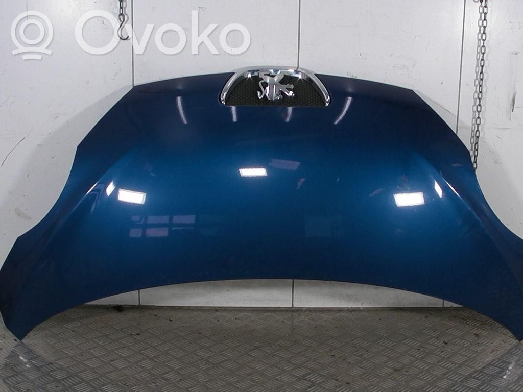 Capotă motor   1611149380