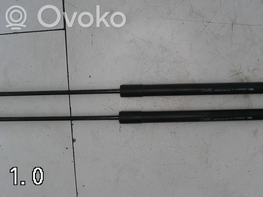 Vérin de capot arrière   2STK,904527457R