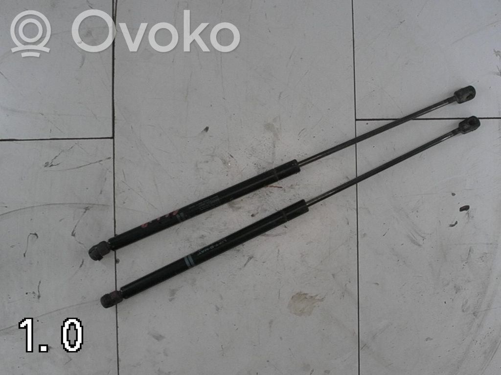 Tailgate/trunk strut/damper   2STK